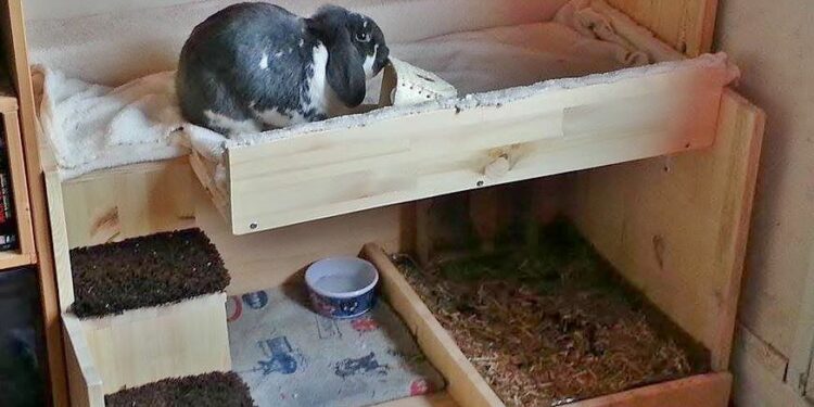 Où placer la litière d'un lapin ?