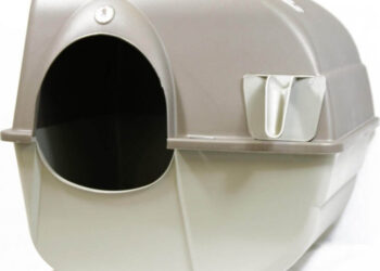 Où placer la litière et la gamelle du chat ?