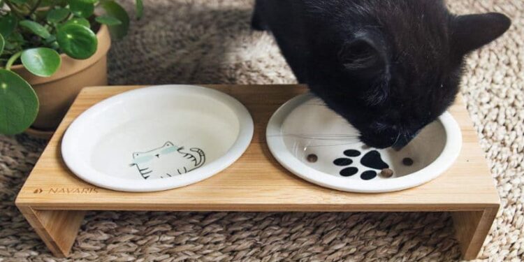 Où placer la litière et la gamelle du chat ?