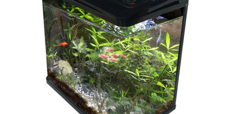 Où placer la pompe dans un aquarium ?