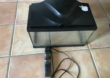 Où placer le chauffage d'un aquarium ?