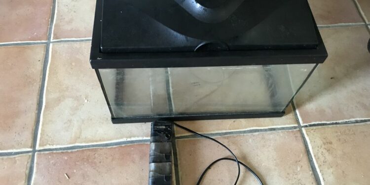 Où placer le chauffage d'un aquarium ?