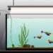 Où placer le diffuseur d'air dans l'aquarium ?
