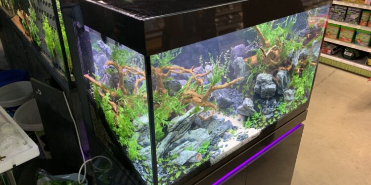 Où placer le diffuseur d'air dans l'aquarium ?