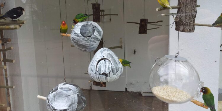 Où placer le nid dans la cage ?