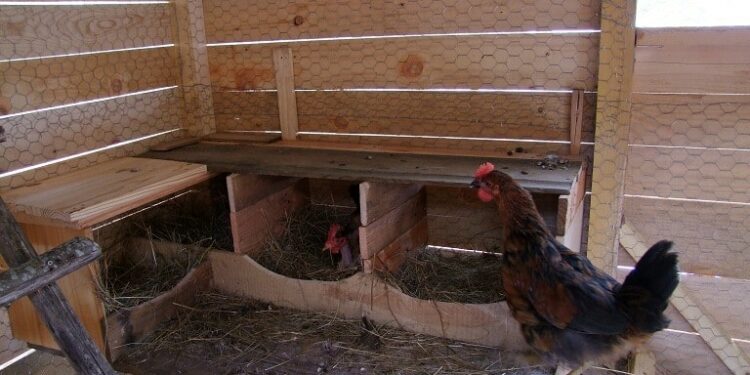 Où placer les pondoirs ?