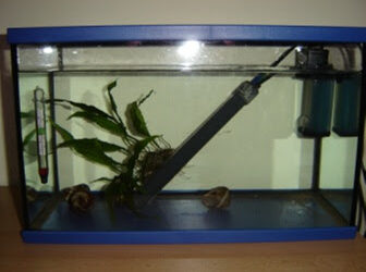 Où placer pompe de brassage eau douce ?