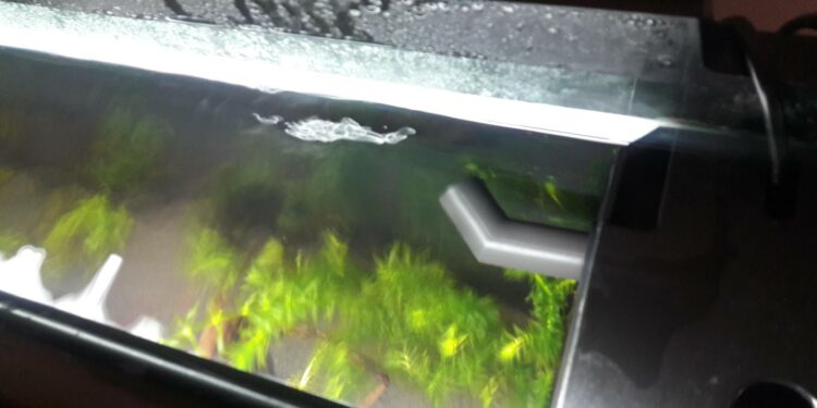 Où placer sa canne de rejet ?