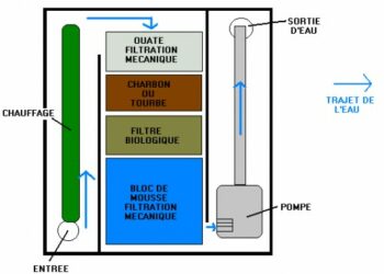 Où placer skimmer aquarium ?