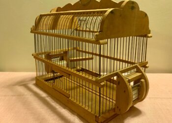 Où placer son canari dans la maison ?