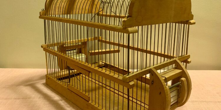 Où placer son canari dans la maison ?