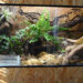 Où placer son vivarium ?