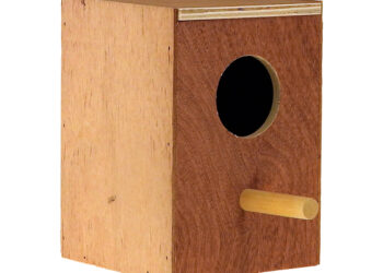 Où placer un nid dans une cage de perruche ?