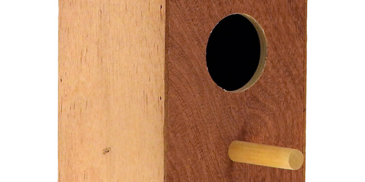 Où placer un nid dans une cage de perruche ?