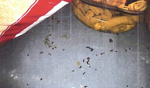 Où se cache les souris la journée ?