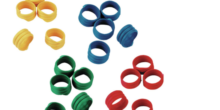 Où trouver des bagues pour les poules ?