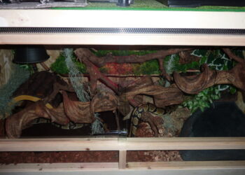 Où trouver terrarium en verre ?