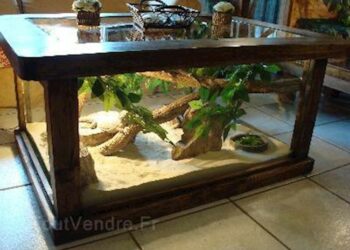 Où trouver terrarium en verre ?