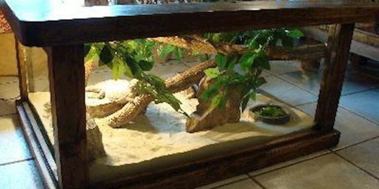 Où trouver terrarium en verre ?