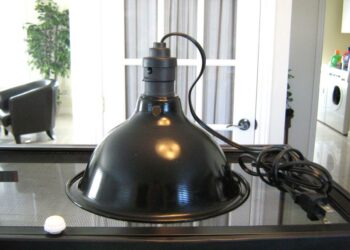 Où trouver une ampoule chauffante ?