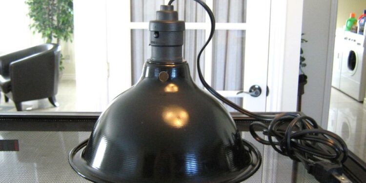 Où trouver une ampoule chauffante ?