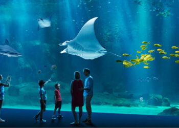 Où visiter un aquarium en France ?