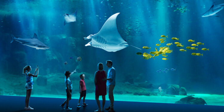 Où visiter un aquarium en France ?