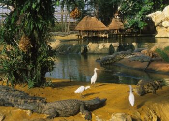 Où voir des animaux gratuitement à Paris ?