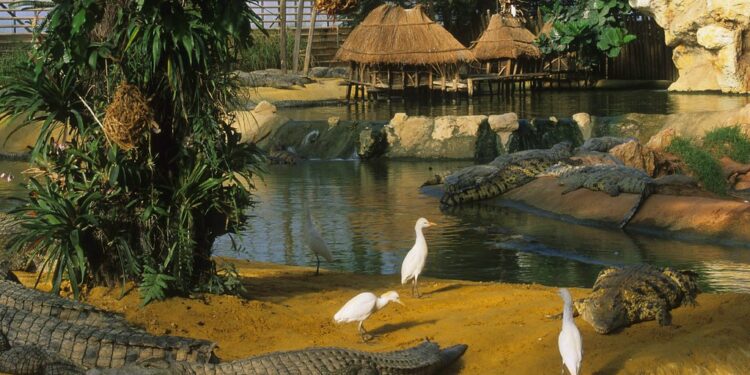 Où voir des animaux gratuitement à Paris ?