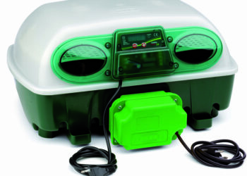 Pourquoi arrêter de retourner les œufs ?