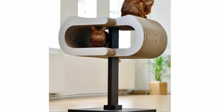 Pourquoi avoir un arbre à chat ?