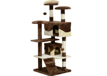 Pourquoi avoir un arbre à chat ?