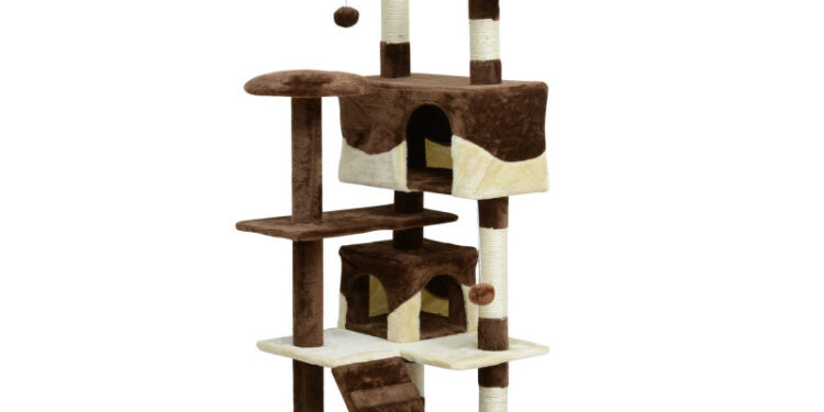 Pourquoi avoir un arbre à chat ?