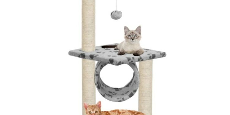 Pourquoi avoir un arbre à chat ?