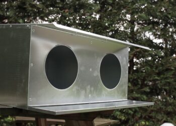 Pourquoi avoir un pigeonnier ?