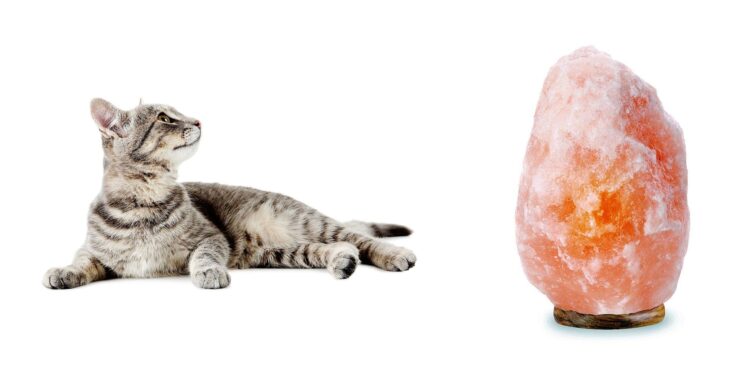 Pourquoi avoir une lampe de sel chez soi ?