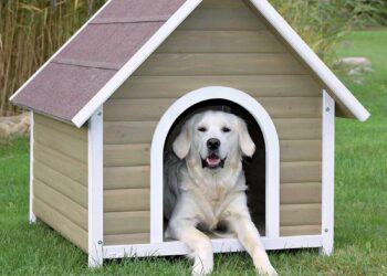 Pourquoi avoir une niche ?