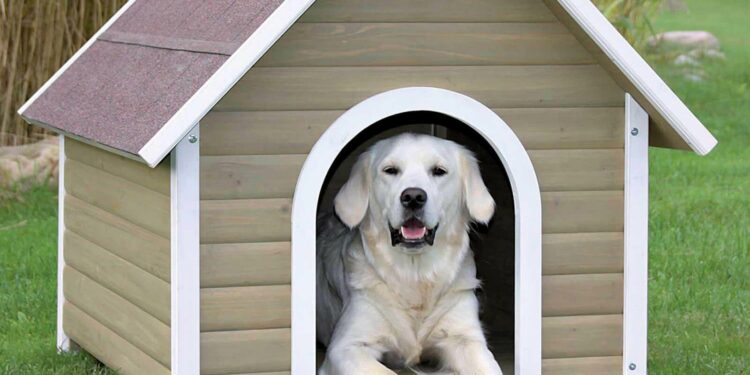 Pourquoi avoir une niche ?