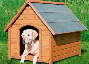 Pourquoi avoir une niche ?