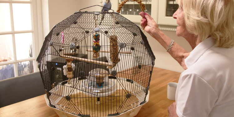 Pourquoi couvrir la cage des oiseaux ?