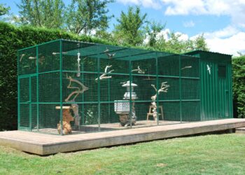 Pourquoi couvrir la cage des oiseaux ?