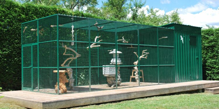 Pourquoi couvrir la cage des oiseaux ?