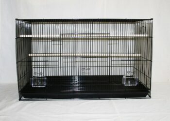 Pourquoi couvrir la cage des oiseaux ?