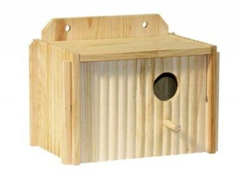 Pourquoi couvrir la cage des oiseaux ?