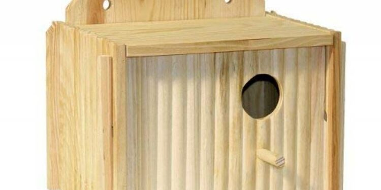 Pourquoi couvrir la cage des oiseaux ?