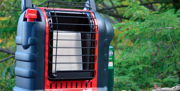 Pourquoi couvrir la cage des oiseaux ?