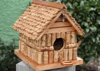 Pourquoi couvrir la cage des oiseaux ?