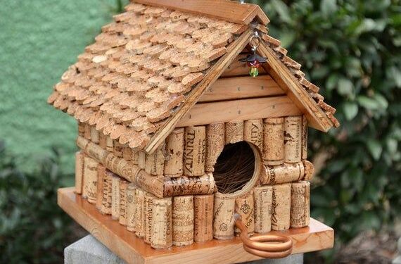 Pourquoi couvrir la cage des oiseaux ?