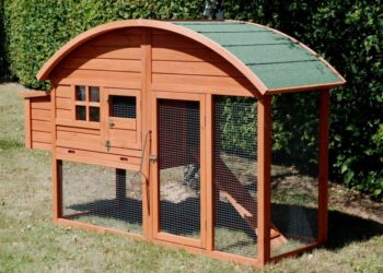 Pourquoi deux poules ?