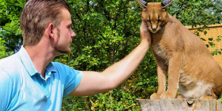 Pourquoi il ne faut pas acheter d'animaux en animalerie ?